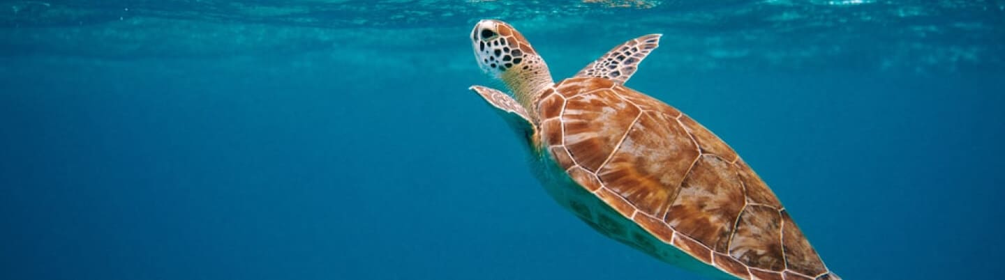 Easydry has a full range of sustainable products that are ideal for your business.