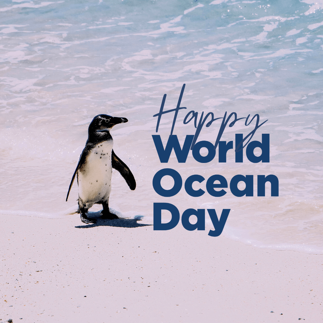 Celebrate World Ocean Day on 8th June with Easydry Towels!